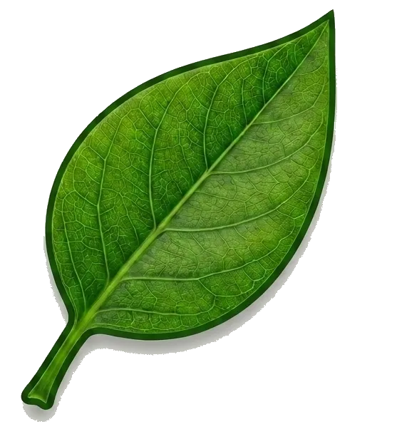Lower waste icon